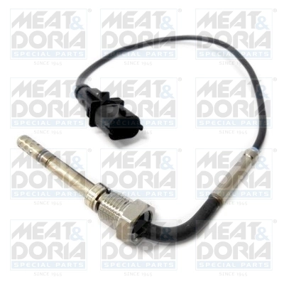 Sensor, exhaust gas temperature